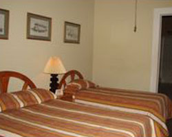 Taylor Inn