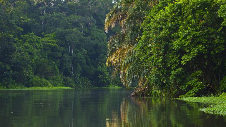 Tortuguero